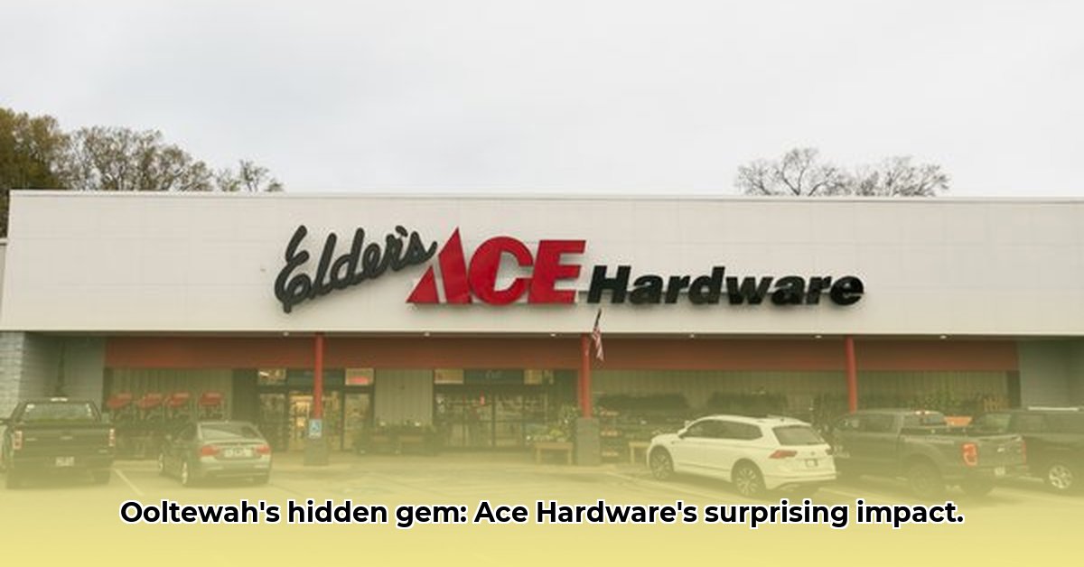 elders-ace-hardware-ooltewah